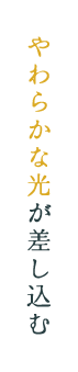 やわらかな光が差し込む