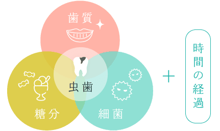 虫歯＝歯質＋糖分＋細菌＋時間の経過
